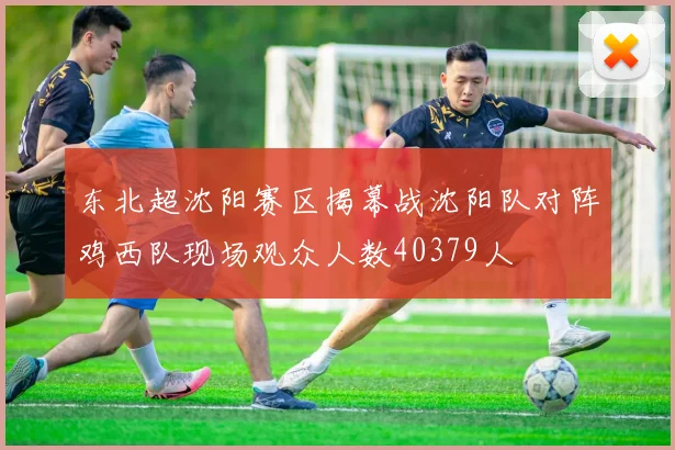东北超沈阳赛区揭幕战沈阳队对阵鸡西队现场观众人数40379人